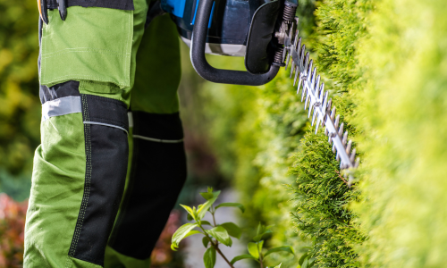 Hedge trimmer